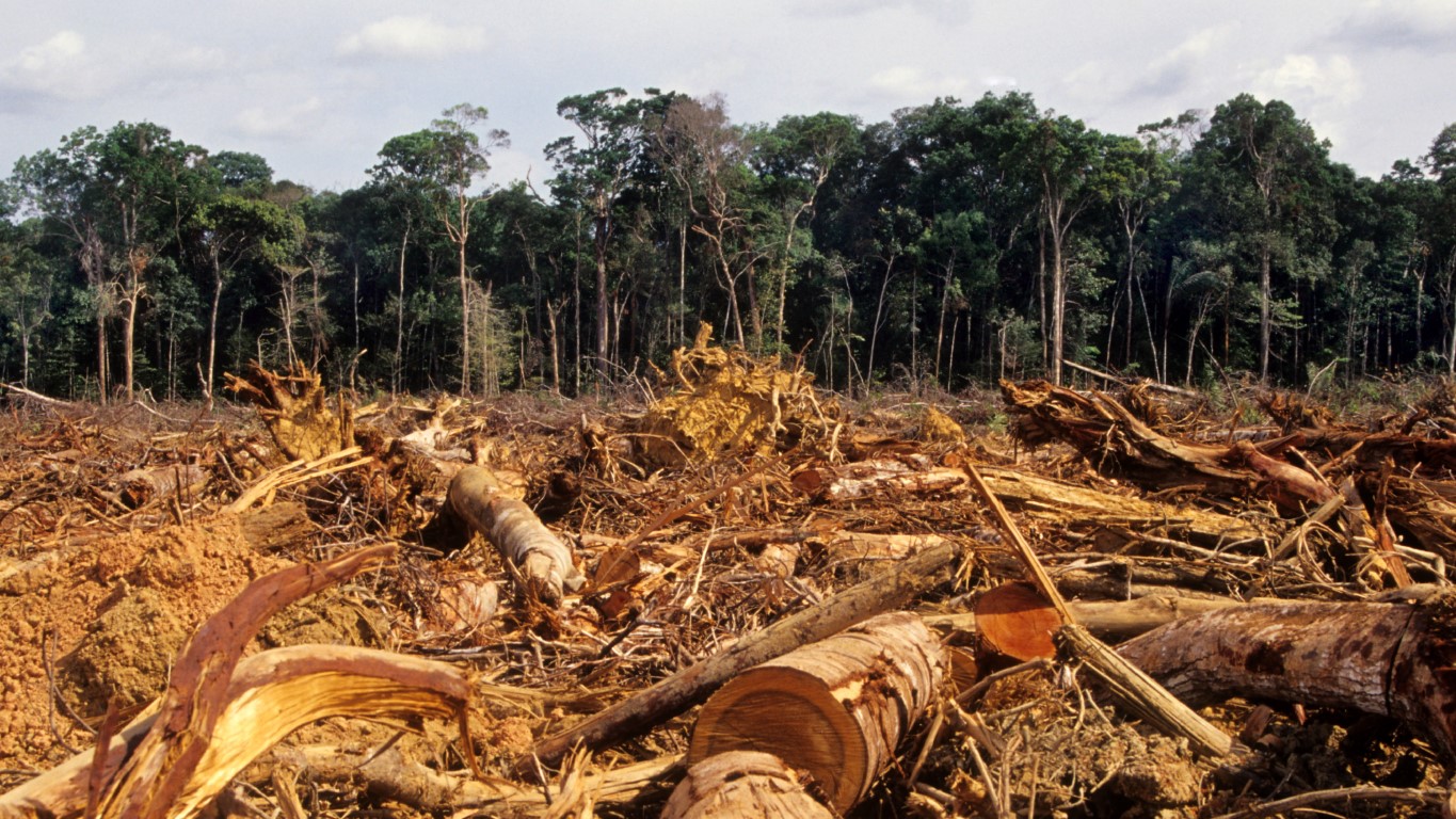 A ‘Finalized’ EUDR: Reading Between The Revisions