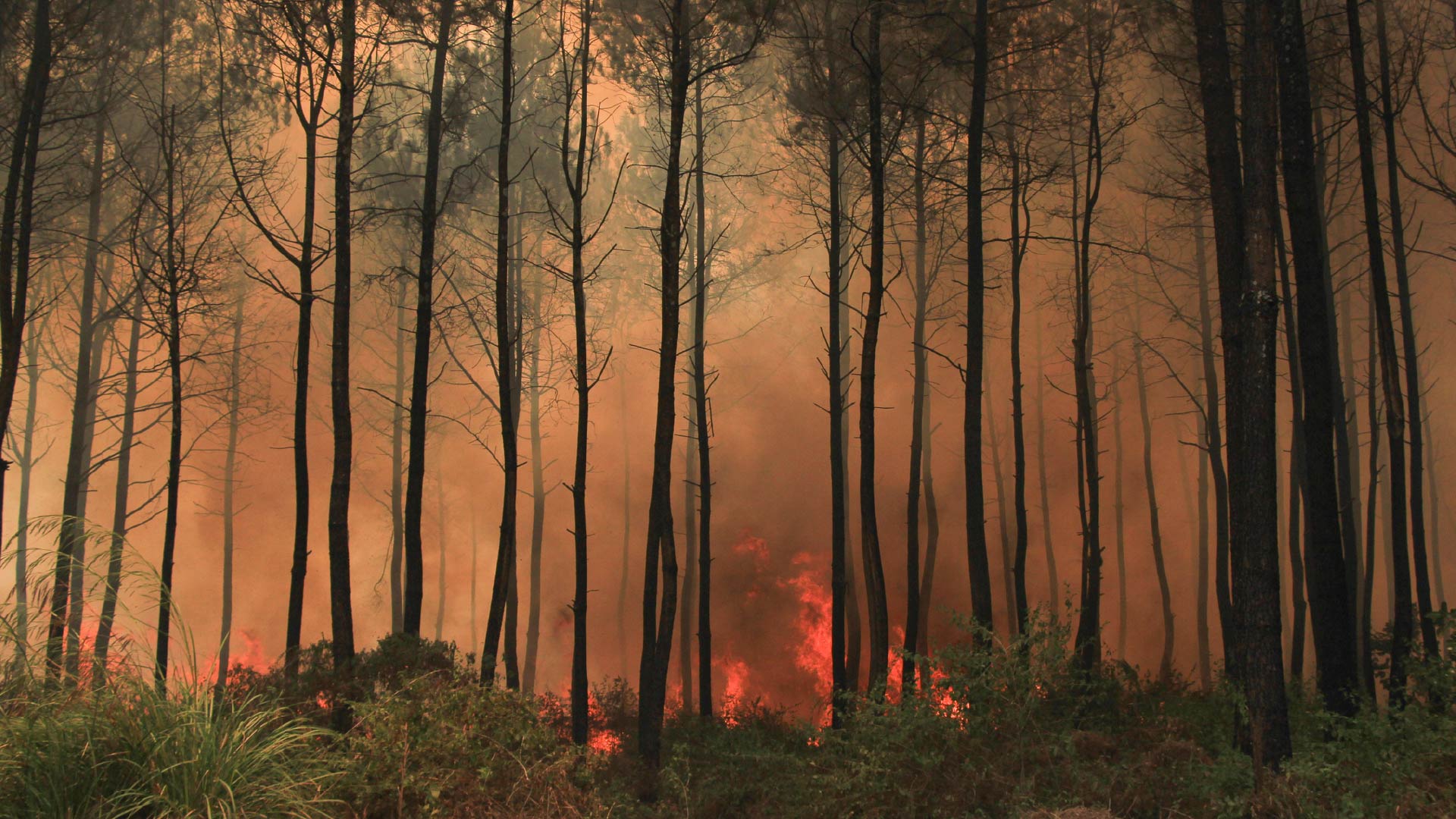 Another Heatwave? Another Wildfire? Why Climate Risk Is Becoming An EHS Priority