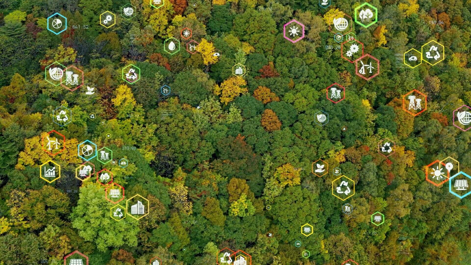 Assent’s EUDR Solution: Navigating The EU Deforestation Regulation Deadline