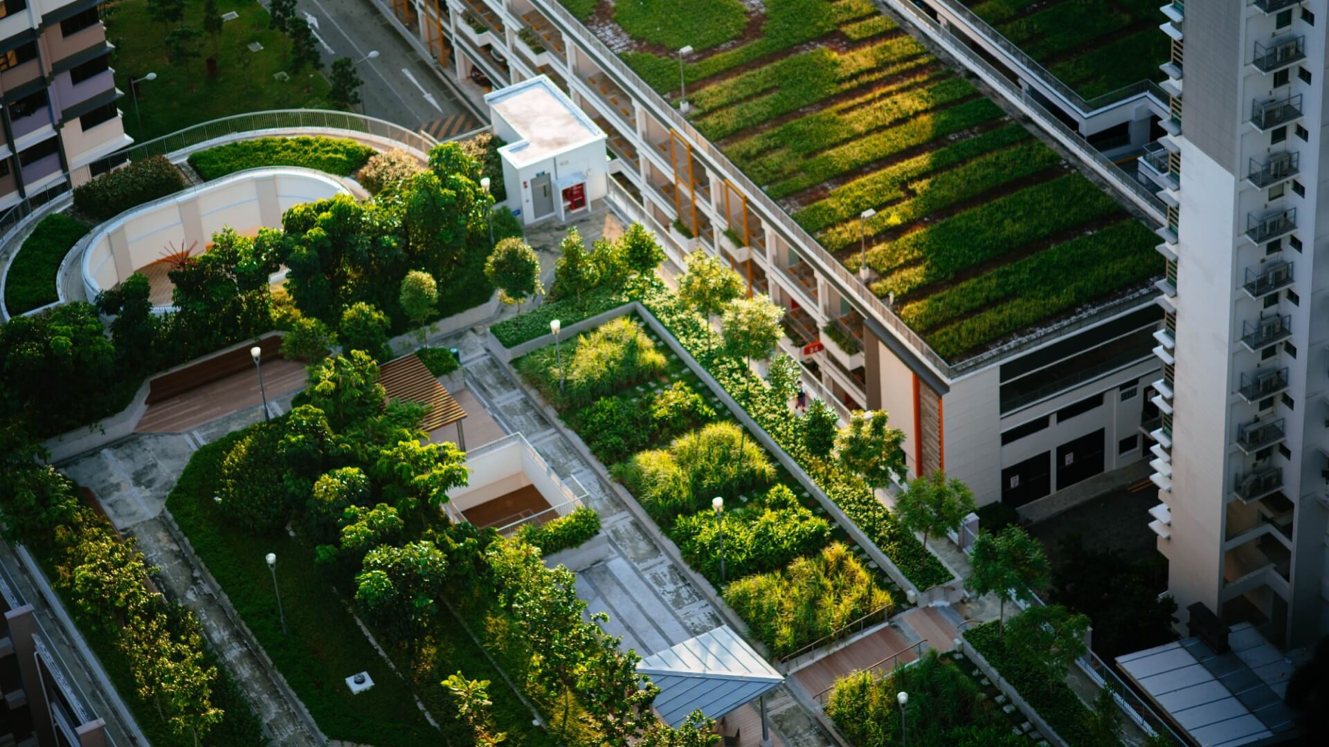 Biophilic Boom: TWH-Powered Offices That Ignite Performance