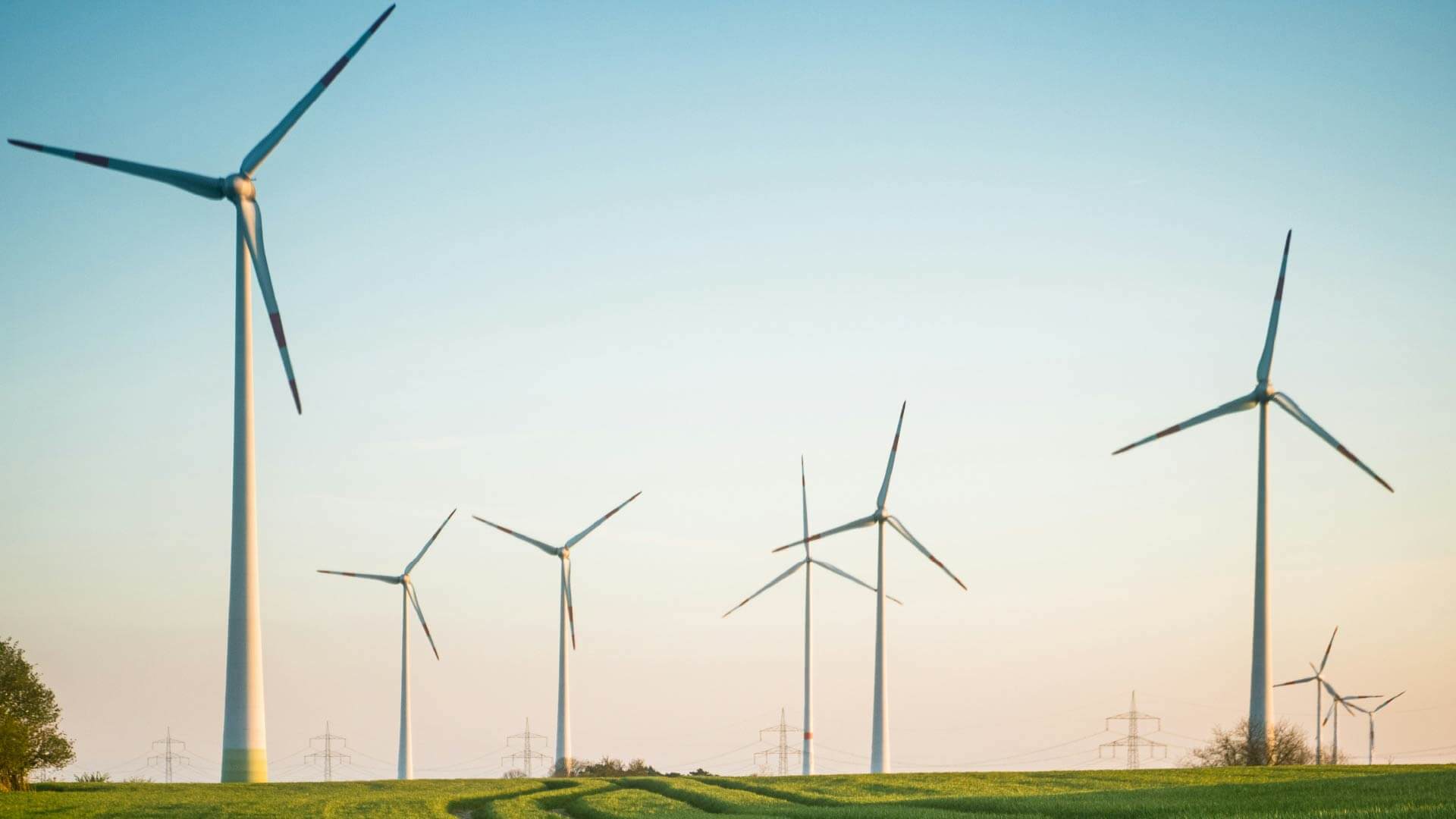 Decarbonization In 2025: Who’s Spending, Why, And On What