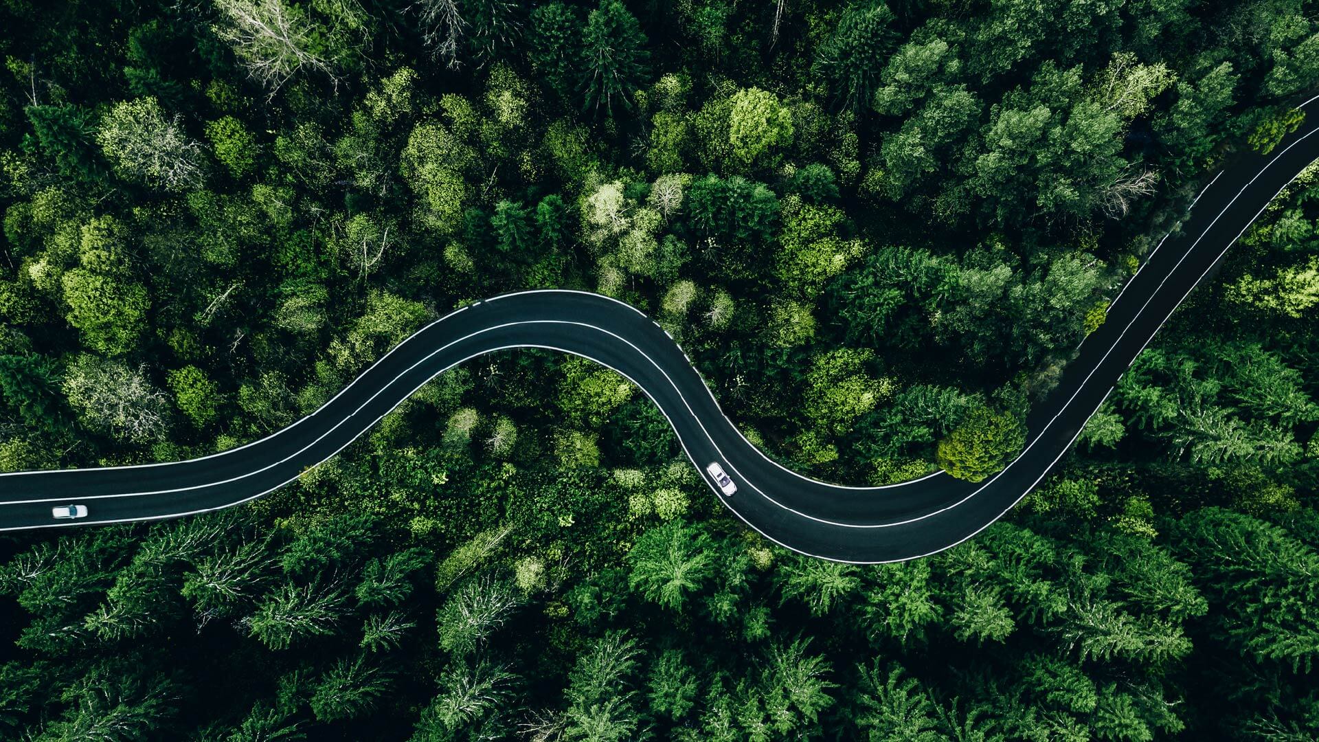 Driving Sustainability Through LCA Software