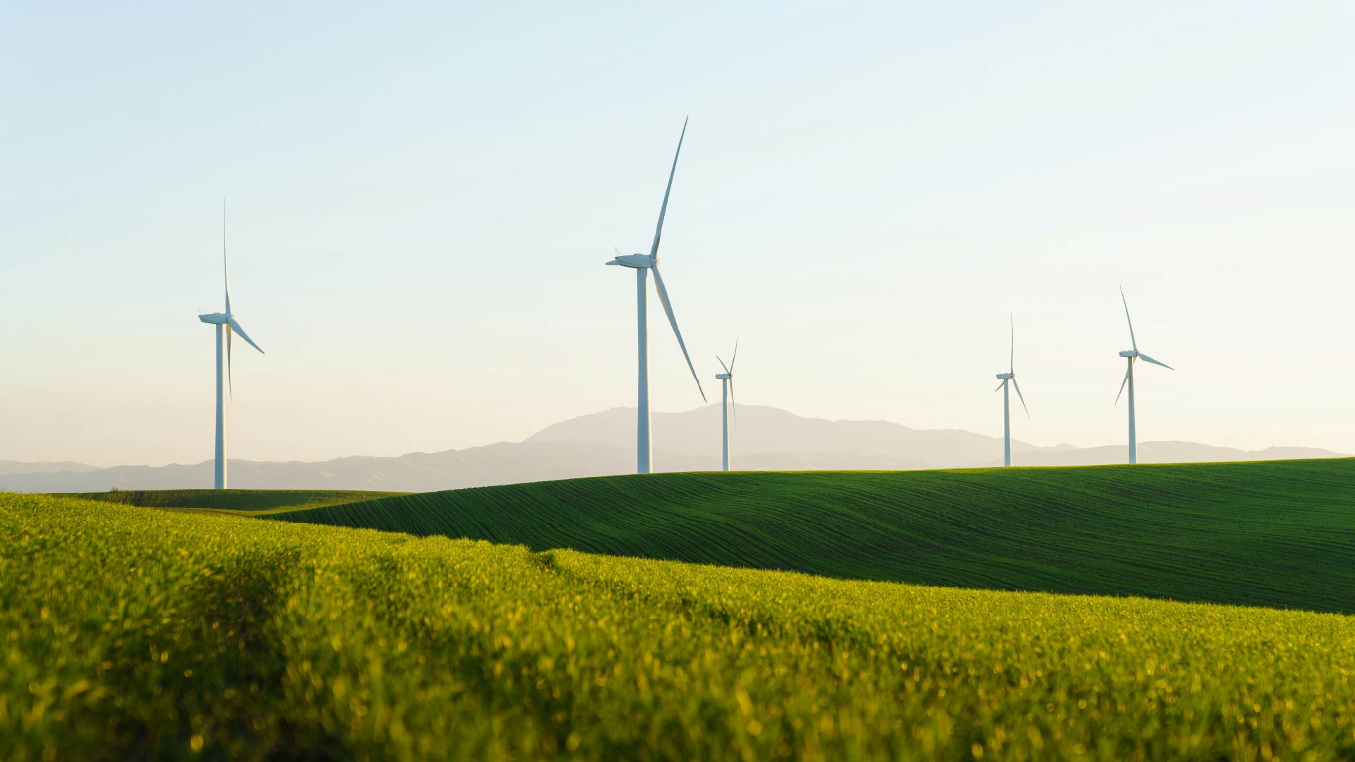 From Claims To Credibility: Making Sustainability Claims Stick