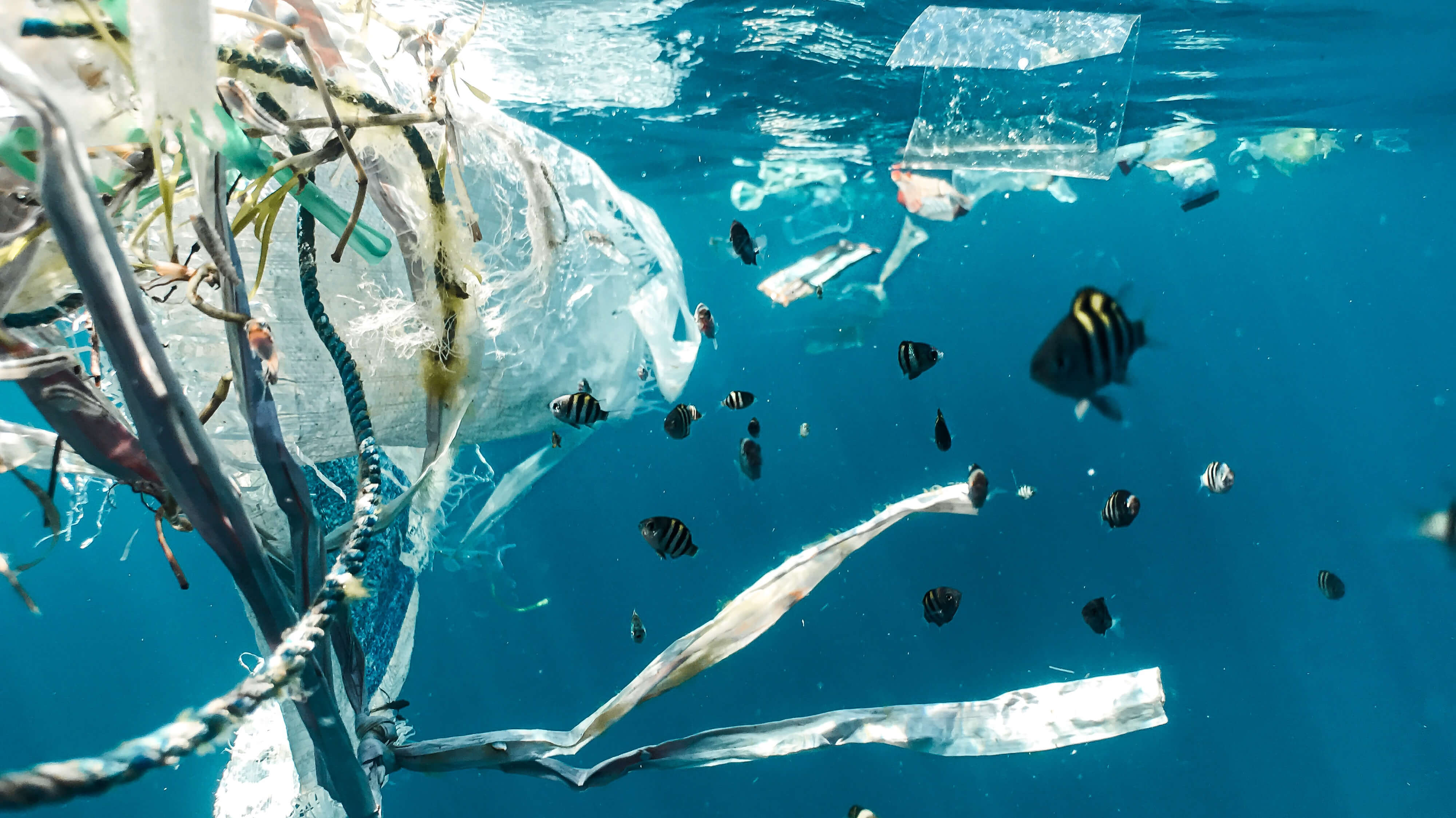 From Trash To Treaty: Processing Plastic Negotiation Outcomes