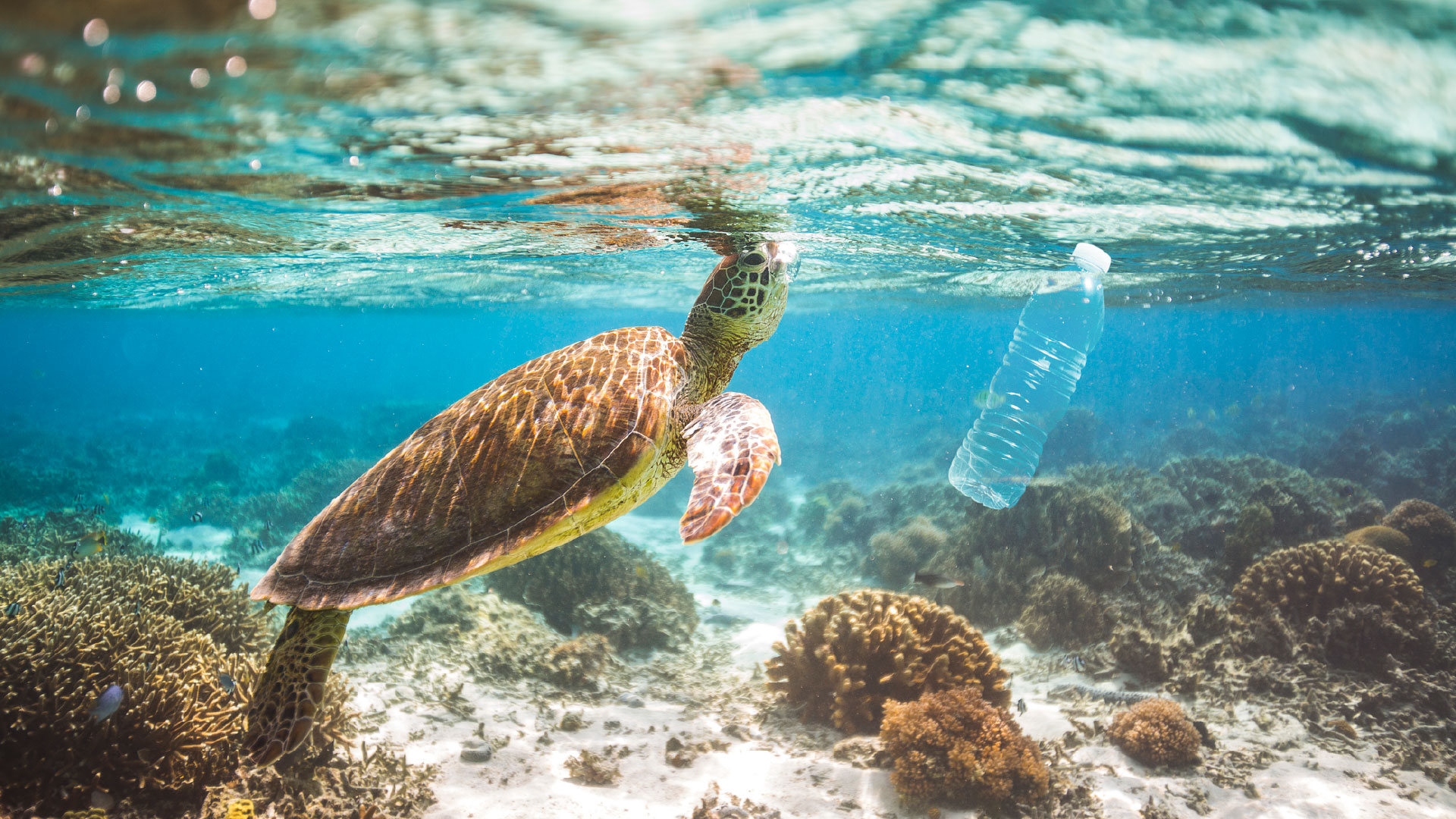 From Trash To Treaty: Un-Pack(ag)ing The Plastic Pollution Treaty So Far