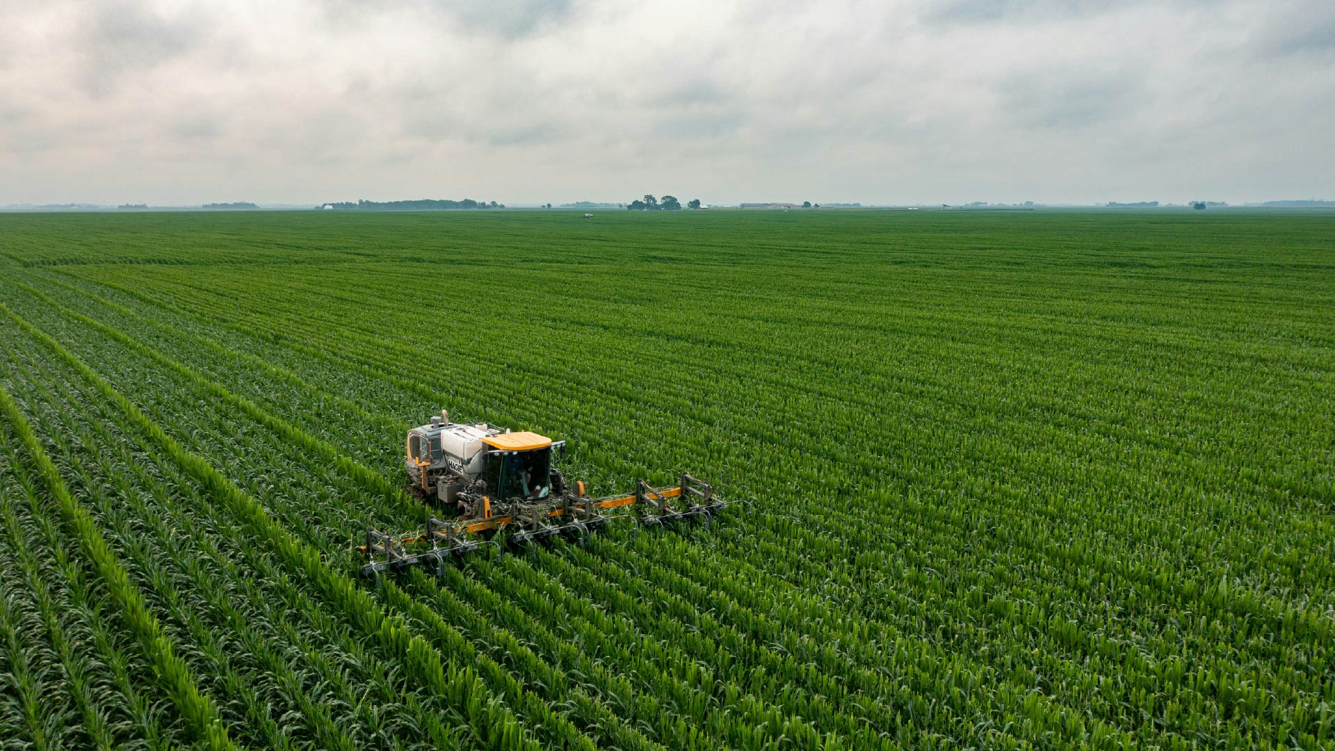 Harvesting Resilience: Growing Sustainable Supply Chains