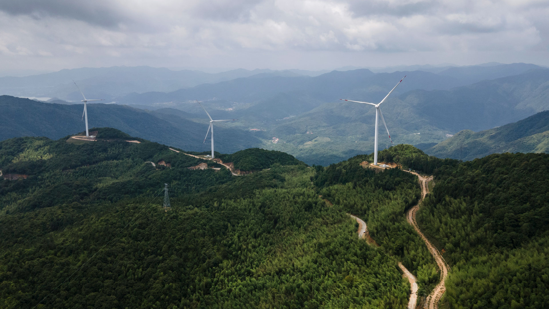 Operationalizing Decarbonization: Key Takeaways From The 2025 Global Corporate Survey