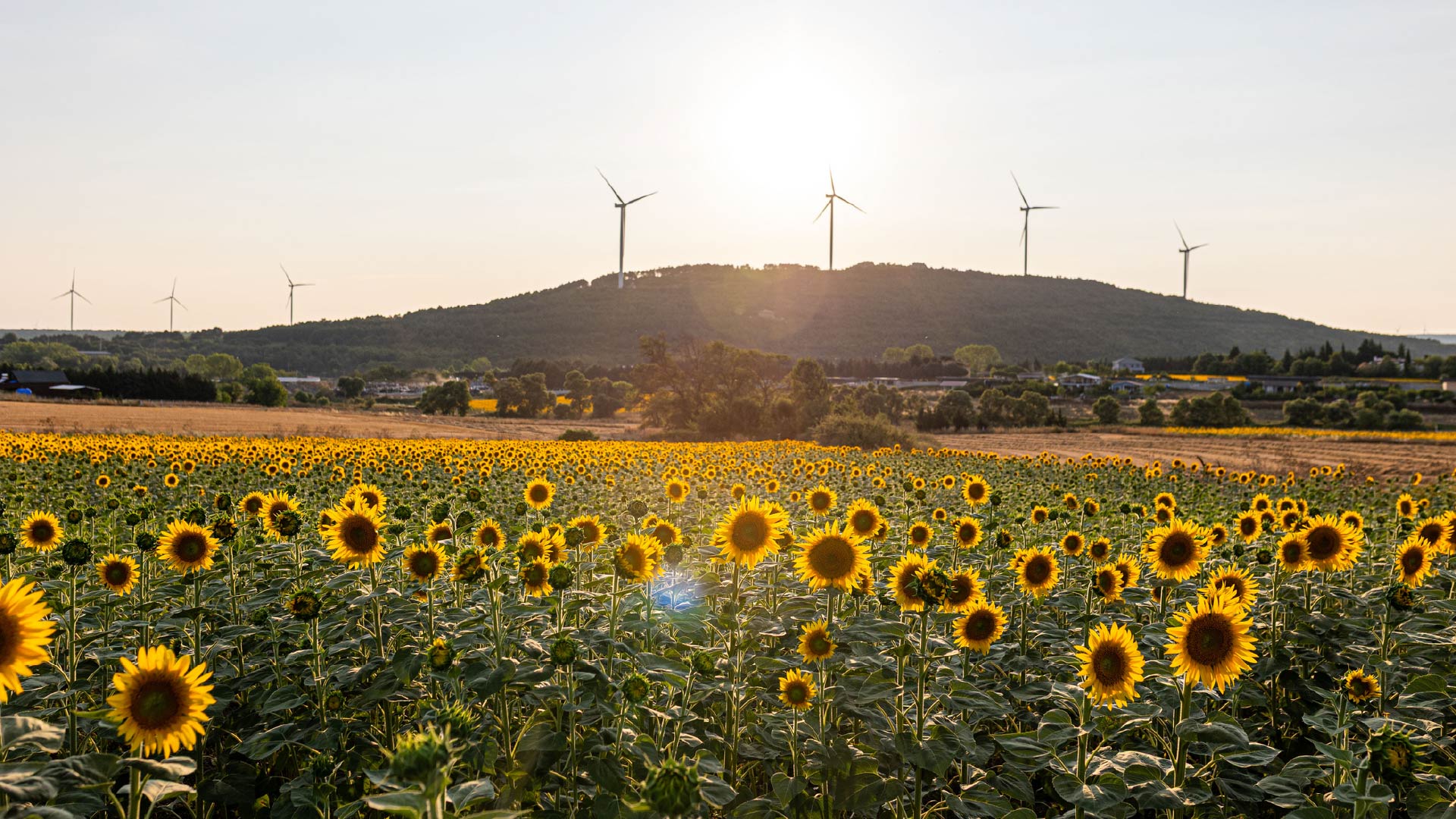 Rising Expectations For Sustainability In 2026: 10 ESG & Sustainability Predictions