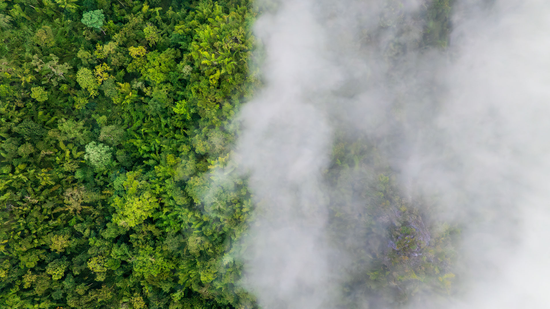 Scientists Challenge DOE Climate Report Used To Justify EPA Policy Shift