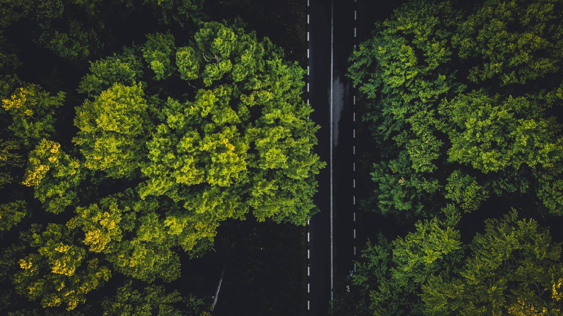 Sustainability Assurance Services Market To Approach $5 Billion In 2031