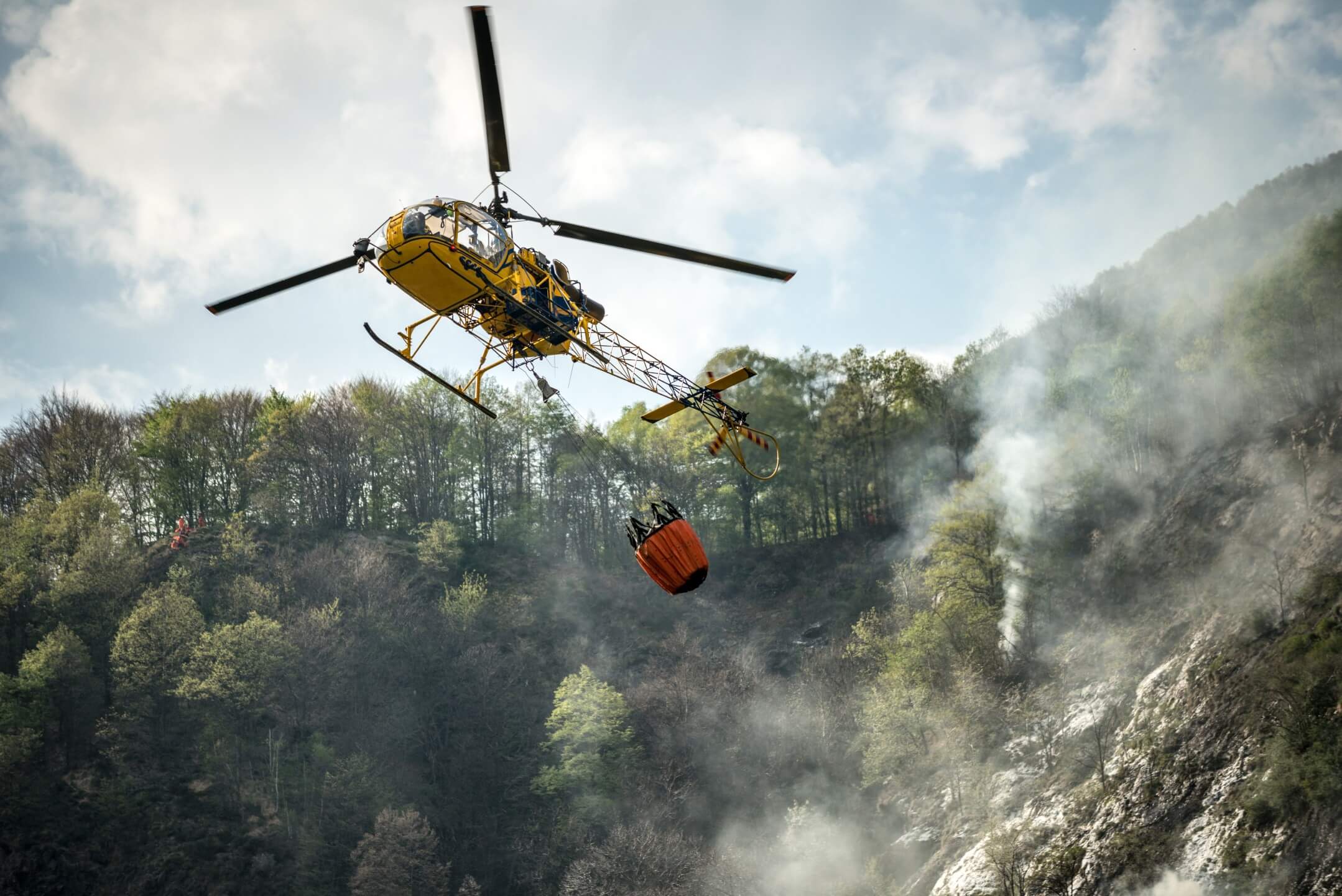 Emerging Risks