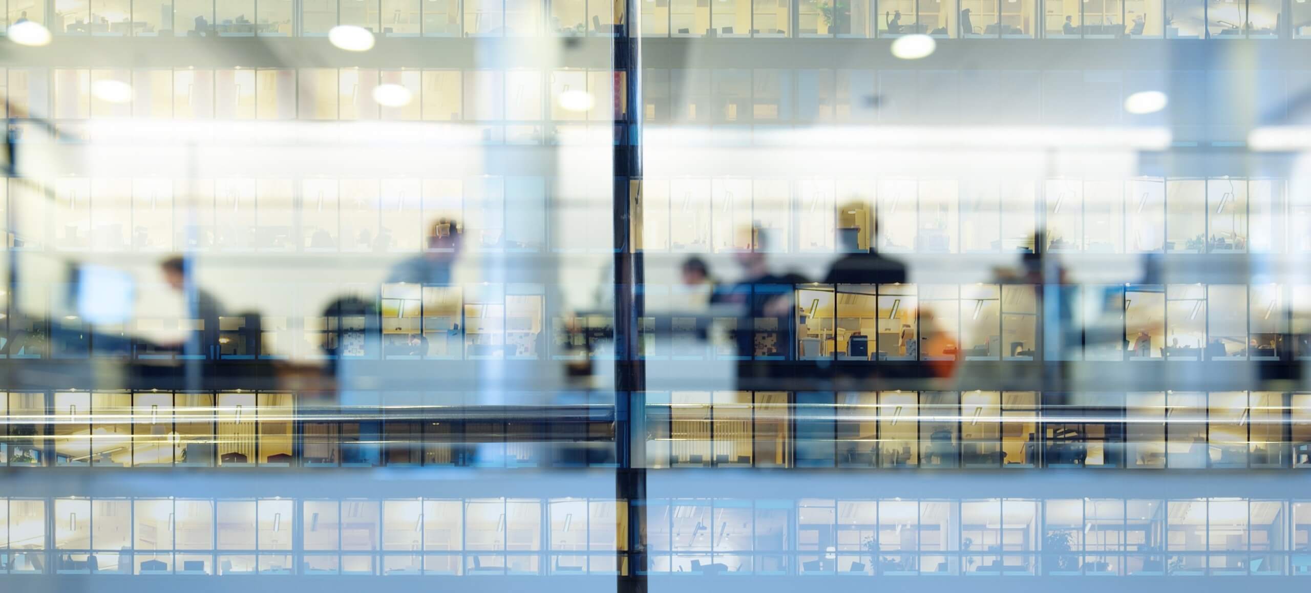 Real Estate Asset Management