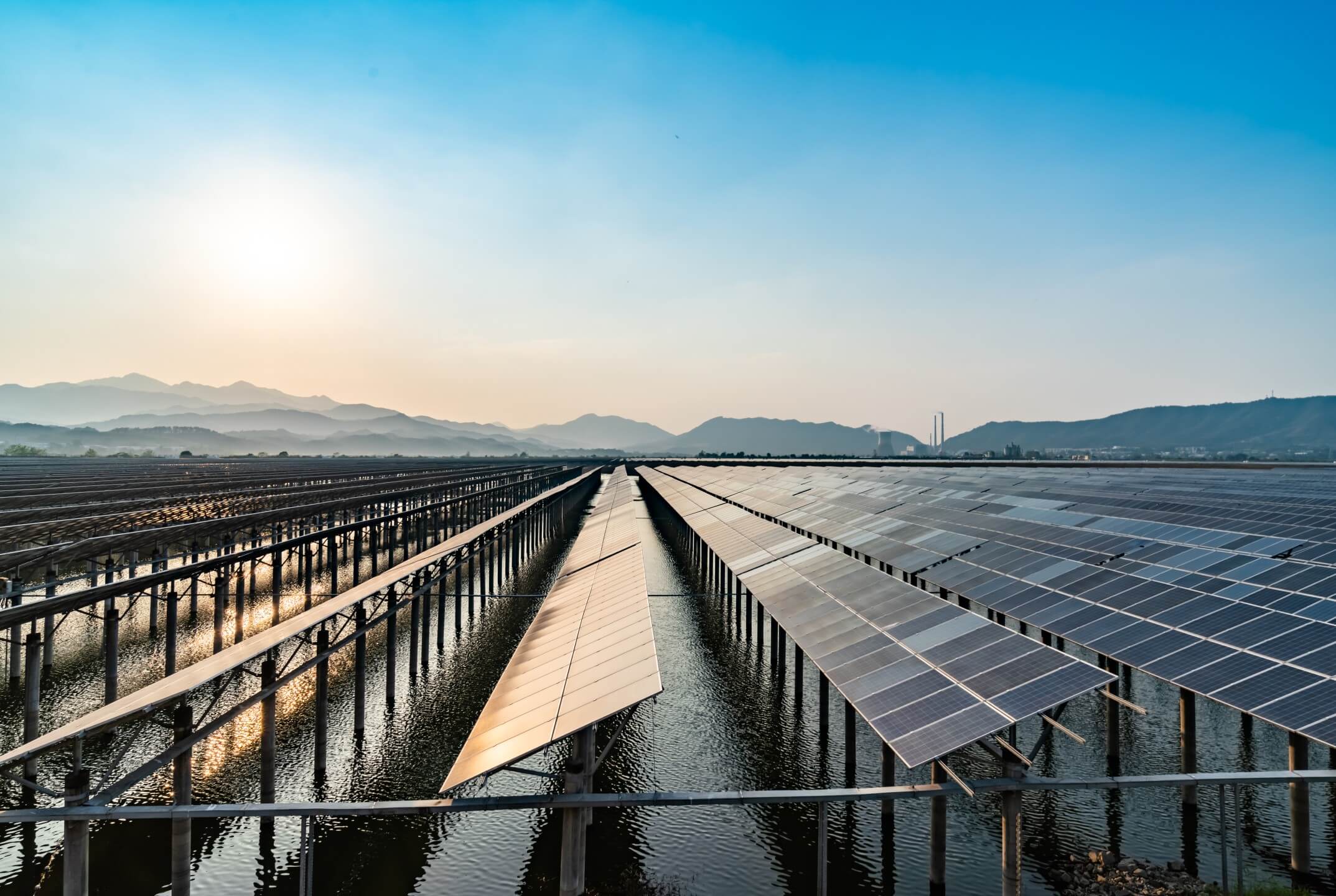 Energy Management & Decarbonisation