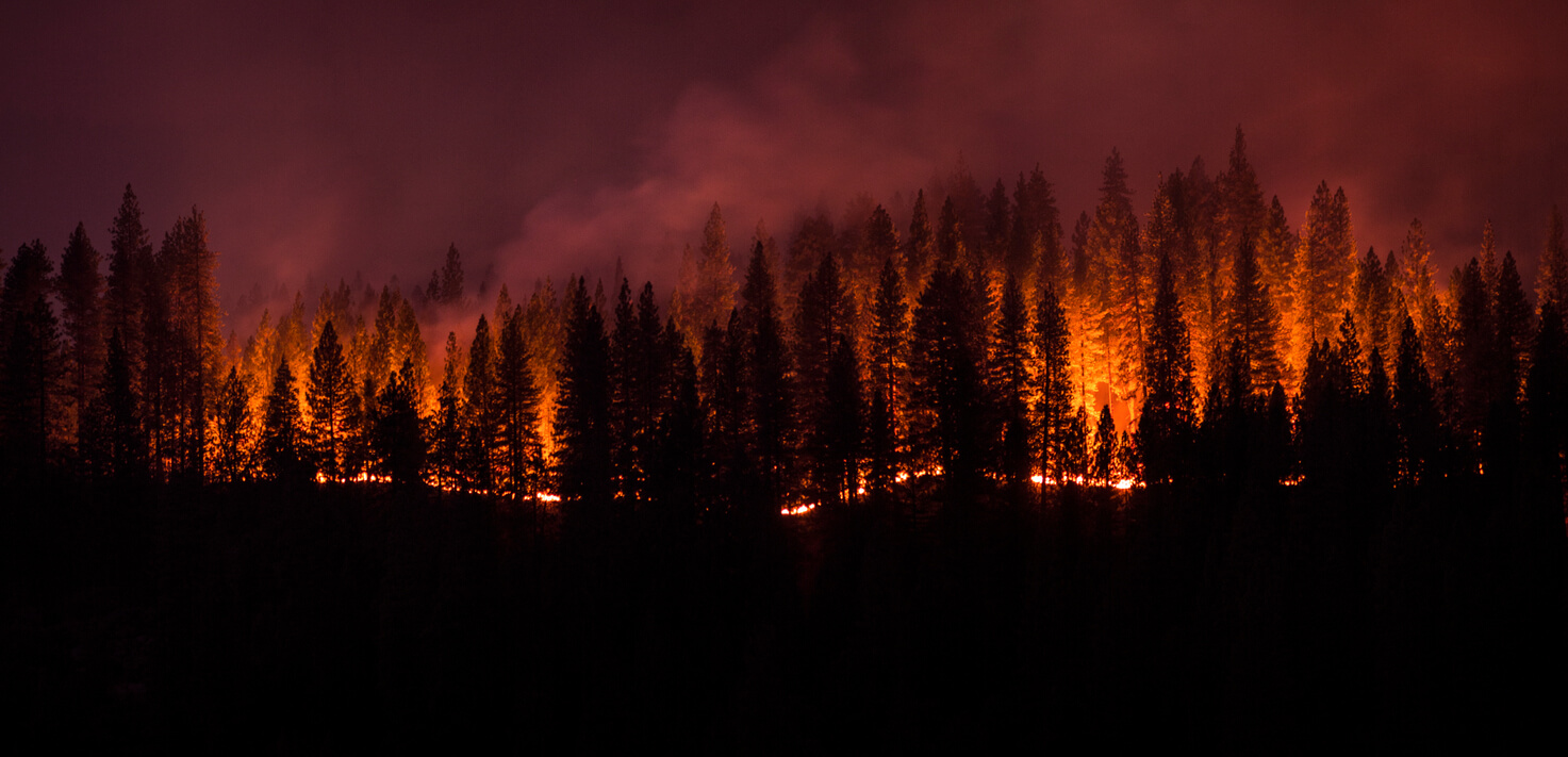California Burning: Lessons in Combatting Wildfires