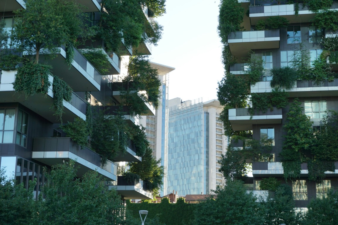 From Carbon to Resilience: Future-Proofing the Built Environment