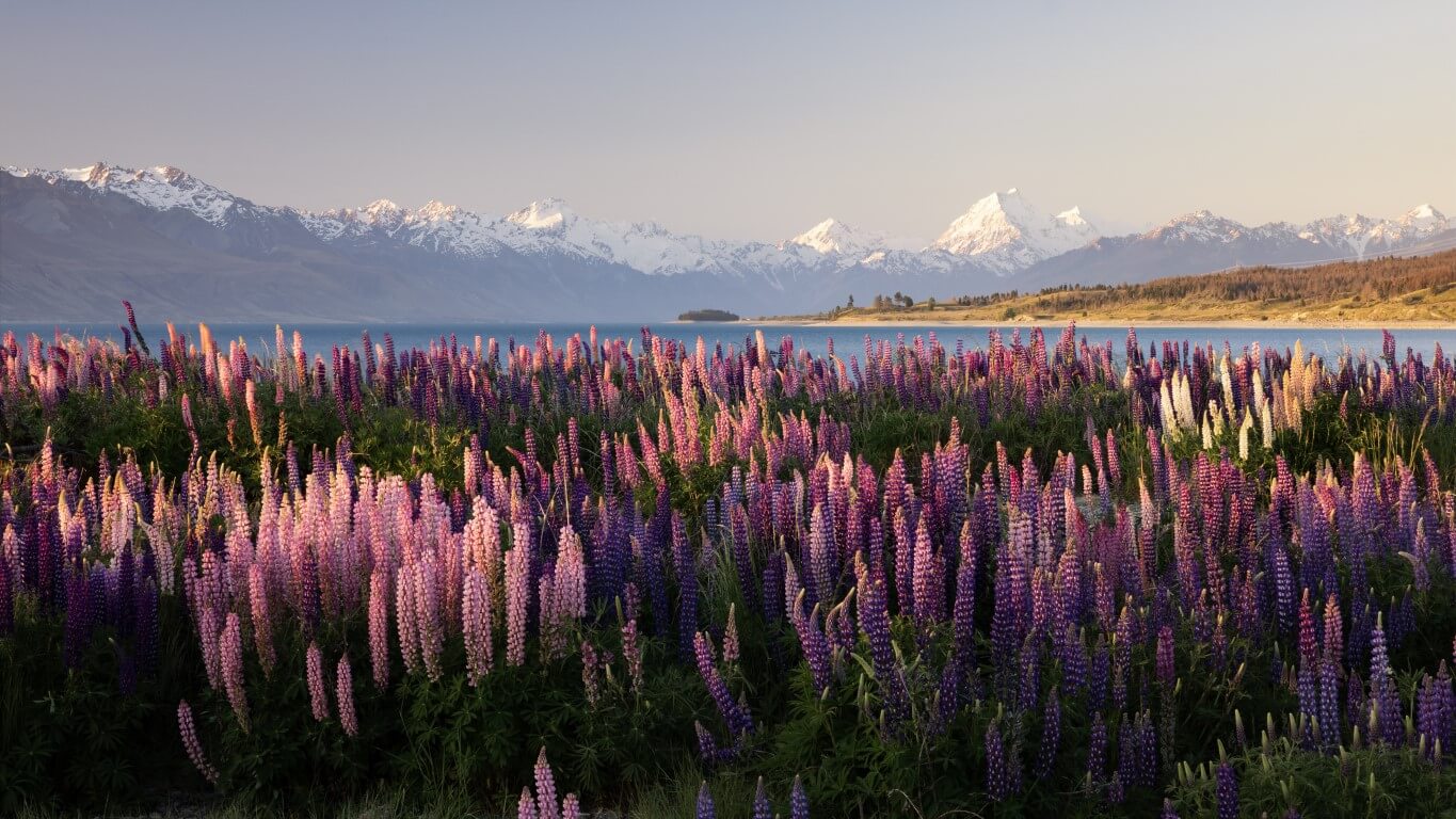 Nature’s ROI: Can Biodiversity Lead To A Healthier Planet And Bottom Line?