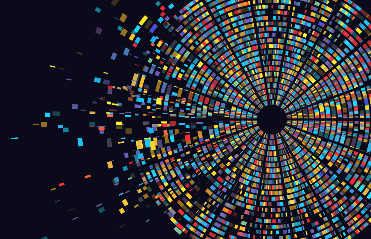 Transforming Aspirations into Realities: The Evolving Role of the Chief Sustainability Officer
